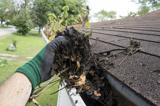 Technician clearing leaves and debris from residential roof gutter