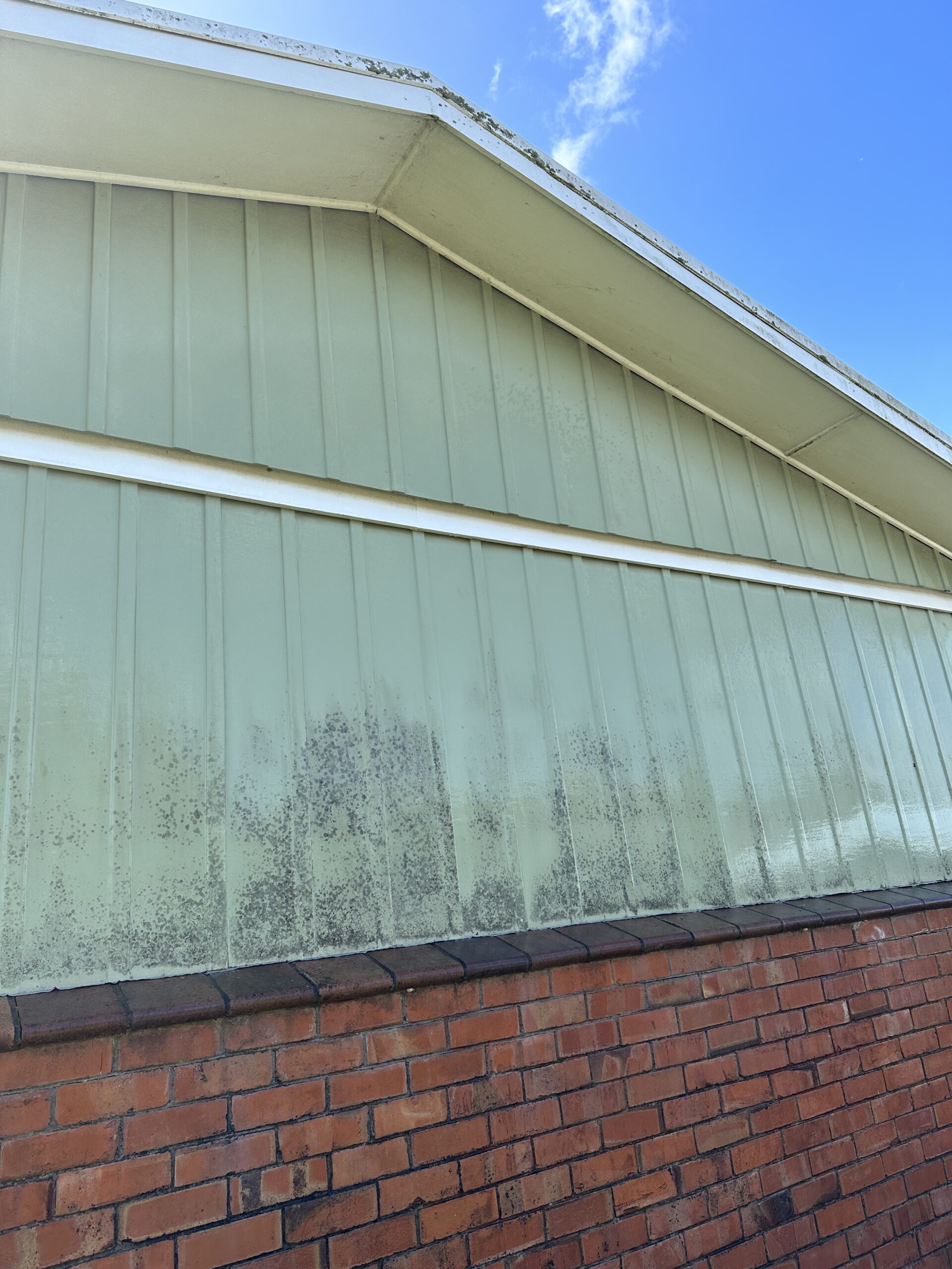 Auckland residential exterior surface with visible grime, dark mould, and weathering before cleaning