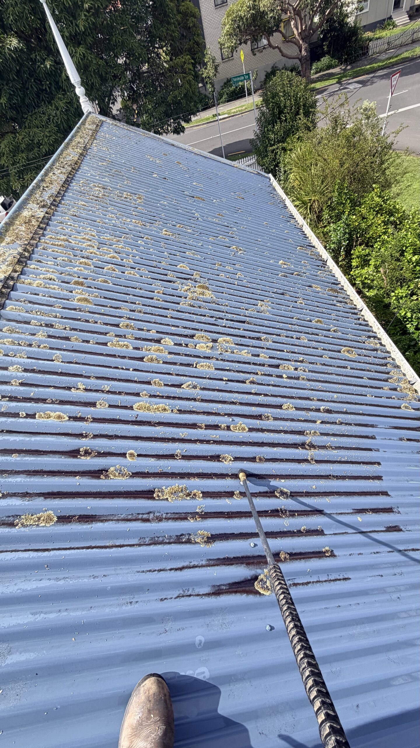Corrugated metal roof heavily covered in lichen and grime before cleaning