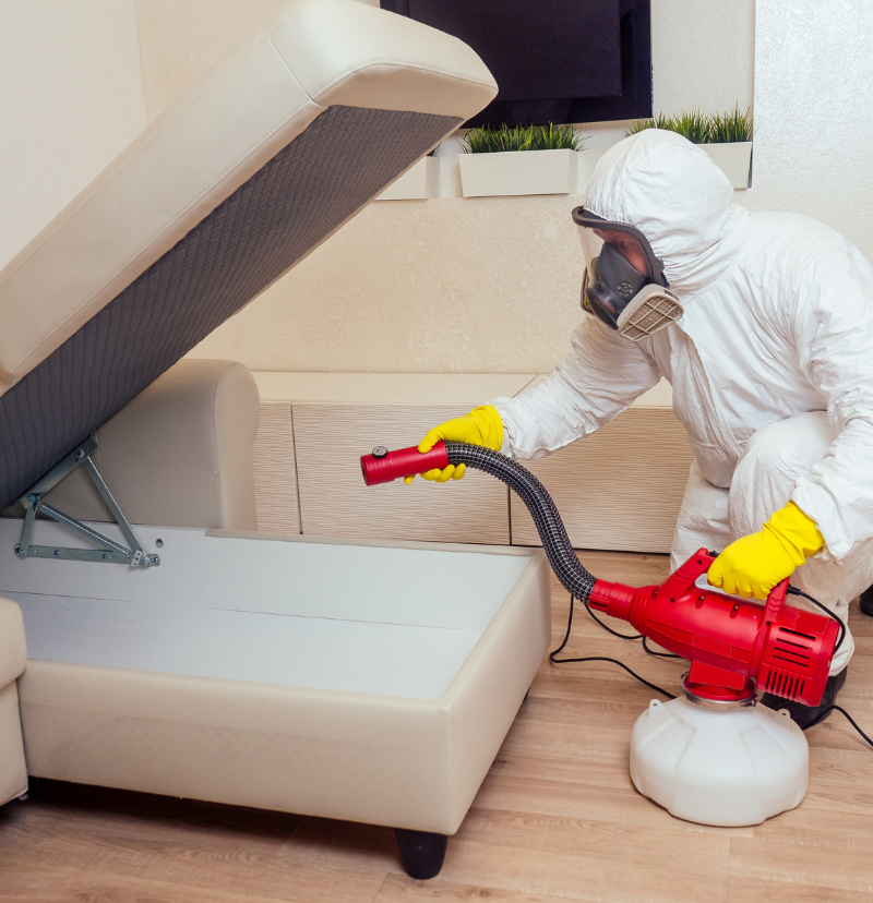 Professional pest control technician applying targeted perimeter barrier treatment