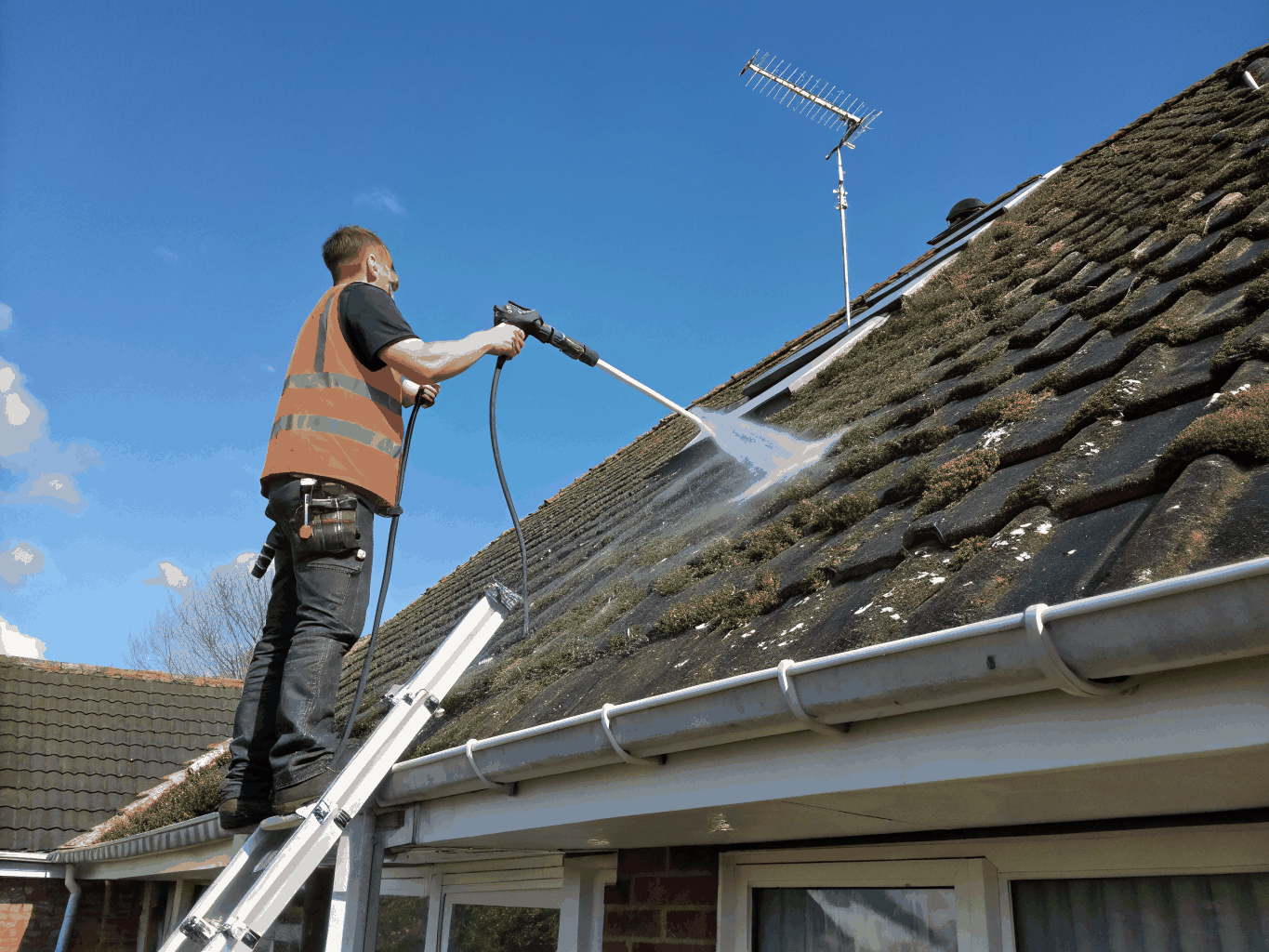 Roof moss treatment and washing on Auckland suburban residence