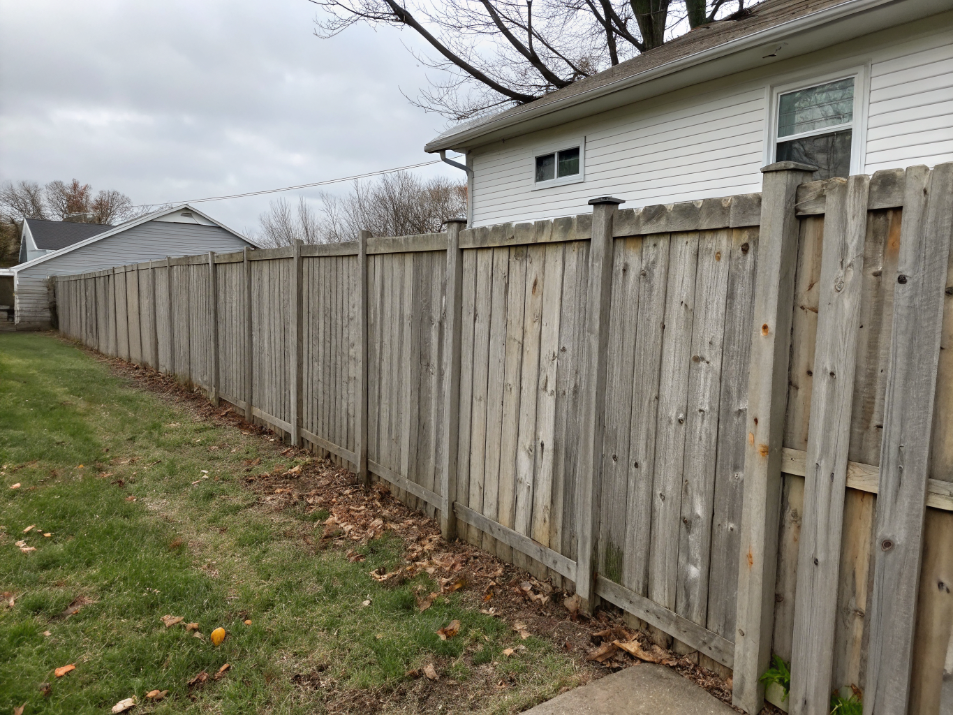 Wooden fence with dirty algae and mildew buildup before cleaning